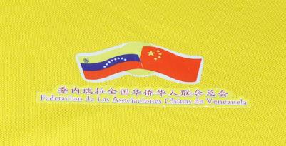 ί������ȫ���A�S�A���Ͽ������b����ϵ�С����߶�POLO������